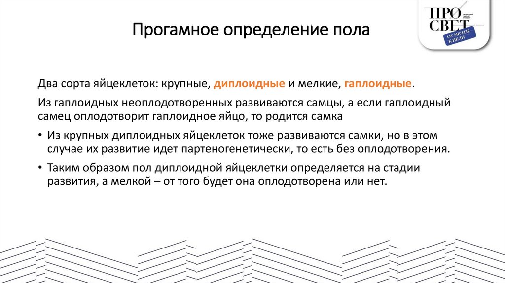 Прогамное определение пола