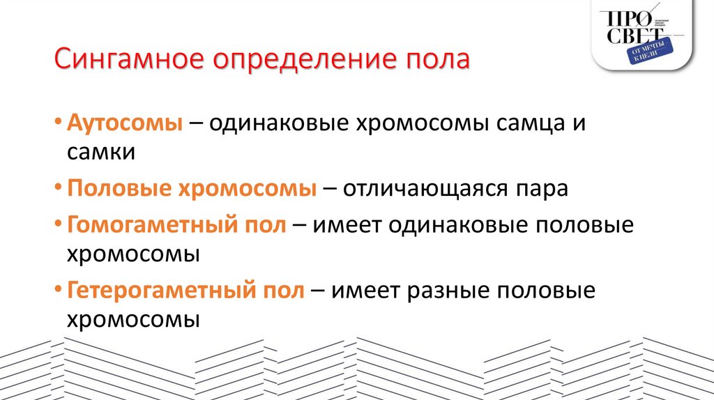 Сингамное определение пола