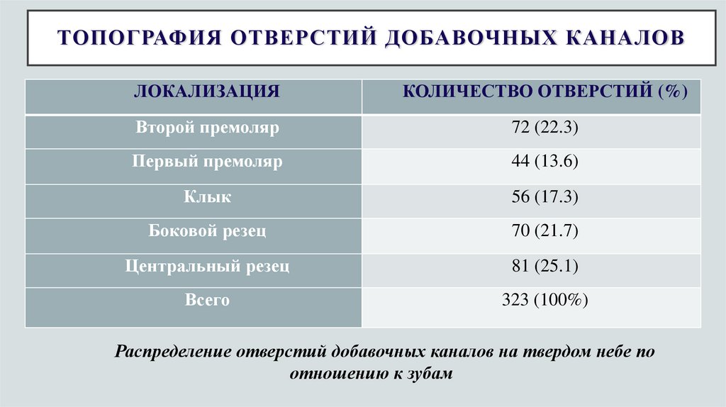 Топография отверстий добавочных каналов