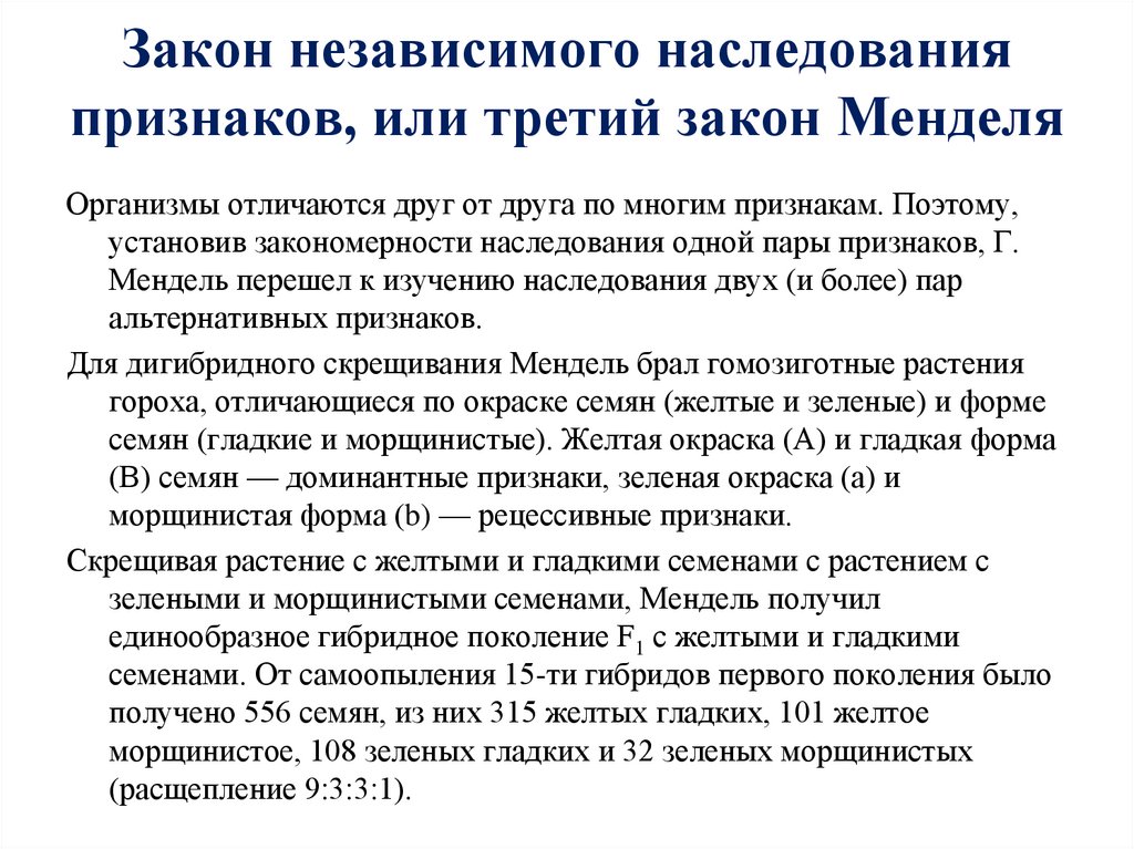 Закон независимого наследования признаков, или третий закон Менделя