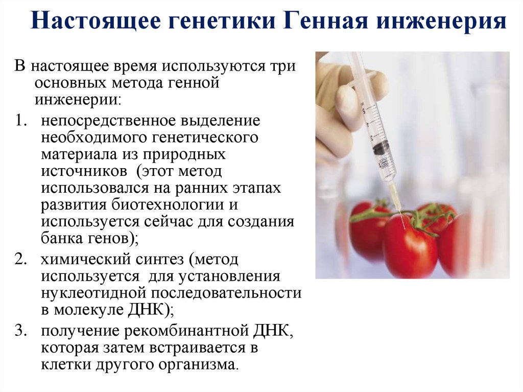 Настоящее генетики Генная инженерия