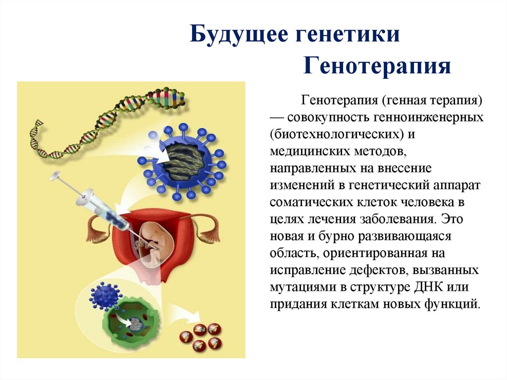 Будущее генетики Генотерапия