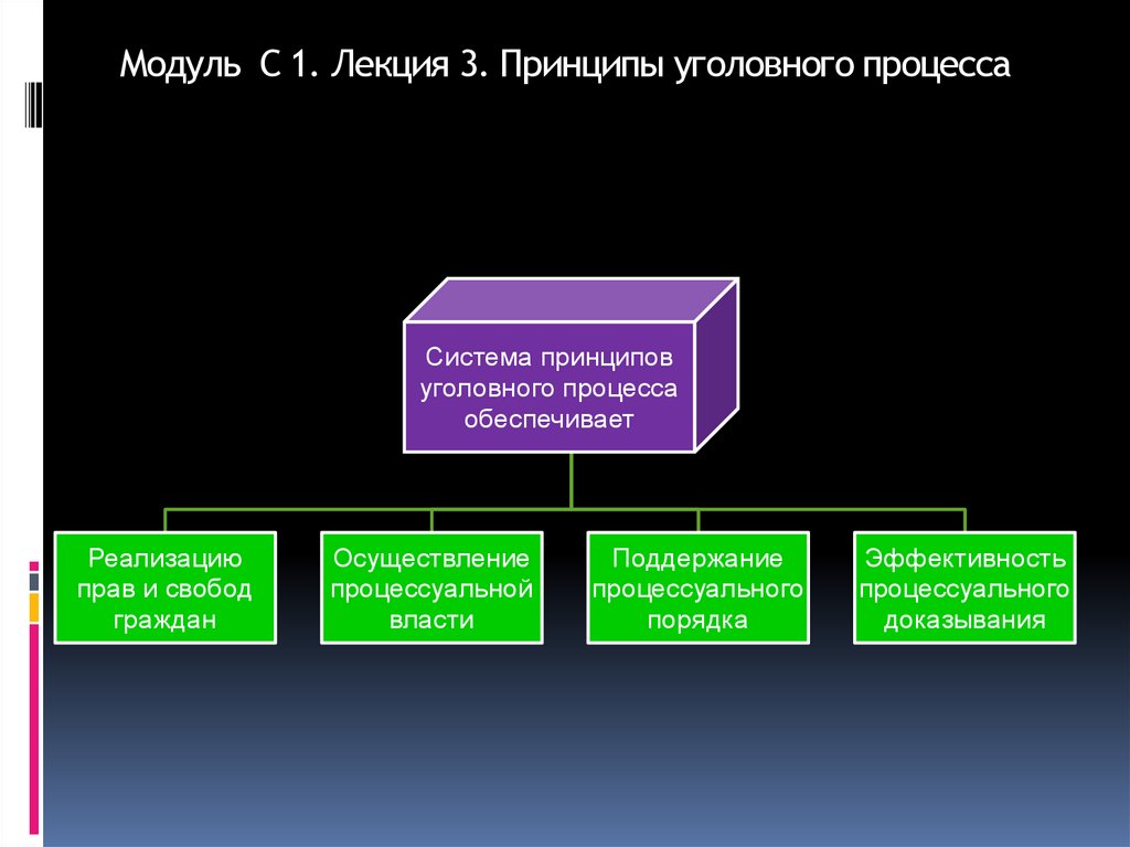 Модуль С 1. Лекция 3. Принципы уголовного процесса