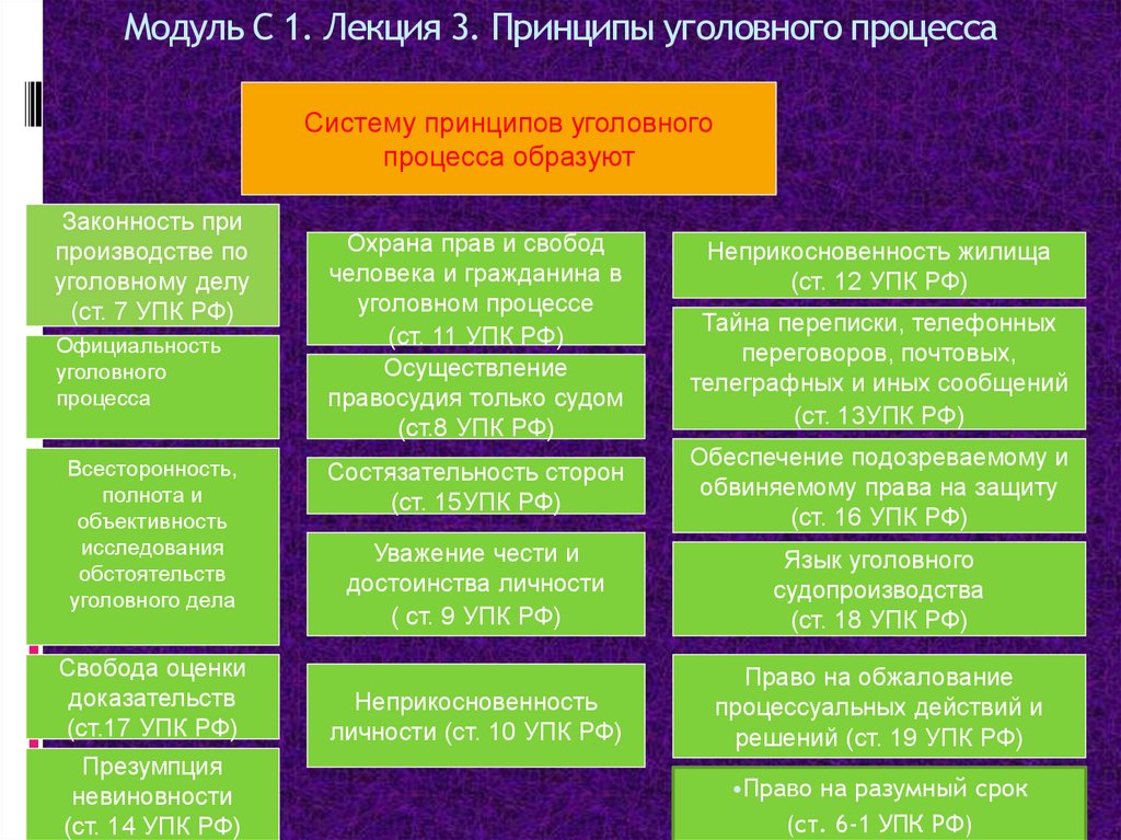 Модуль С 1. Лекция 3. Принципы уголовного процесса