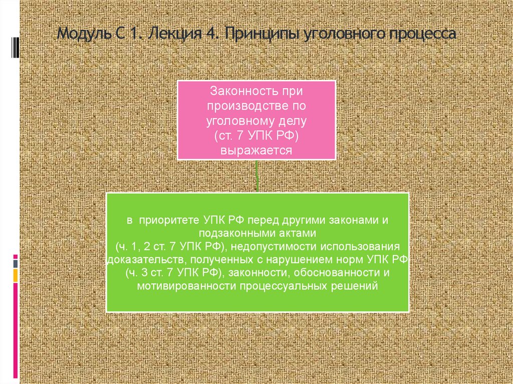 Модуль С 1. Лекция 4. Принципы уголовного процесса