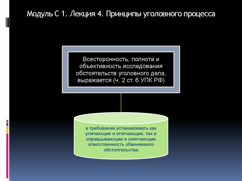 Модуль С 1. Лекция 4. Принципы уголовного процесса