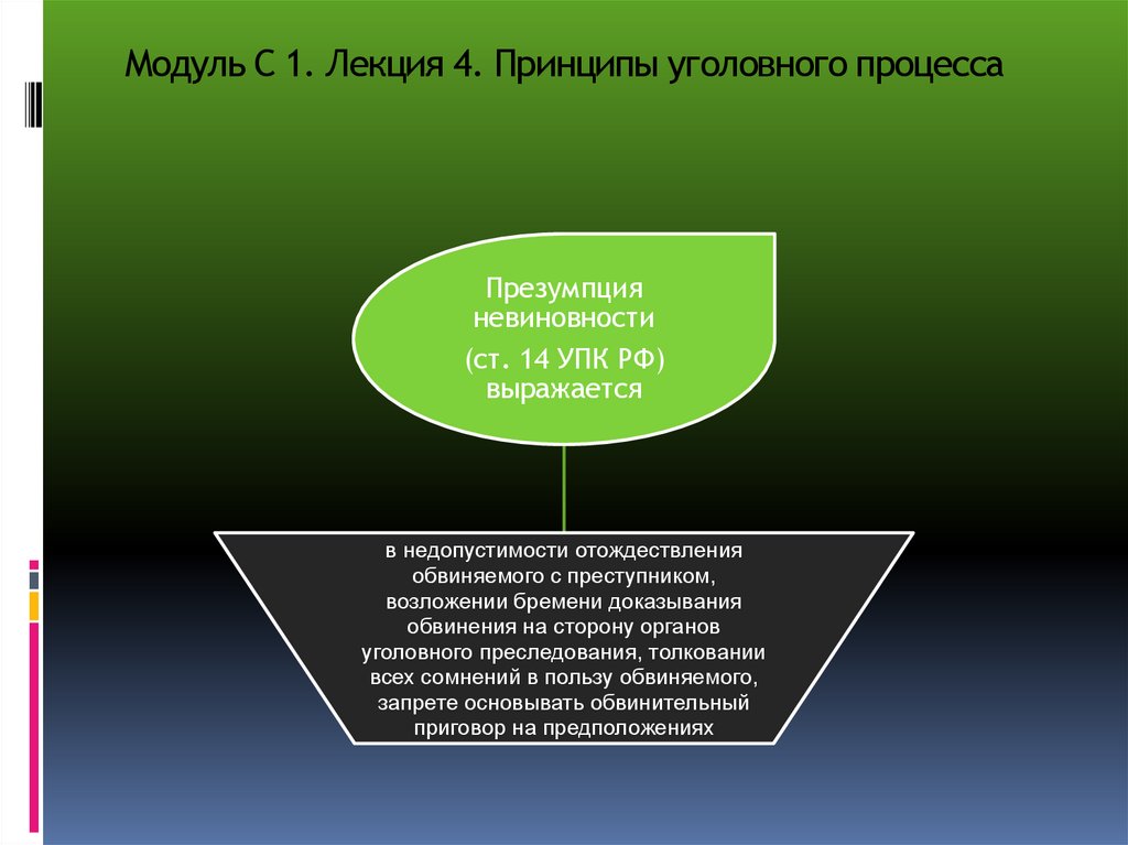 Модуль С 1. Лекция 4. Принципы уголовного процесса