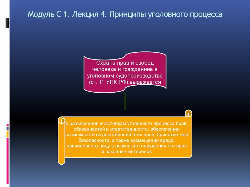 Модуль С 1. Лекция 4. Принципы уголовного процесса