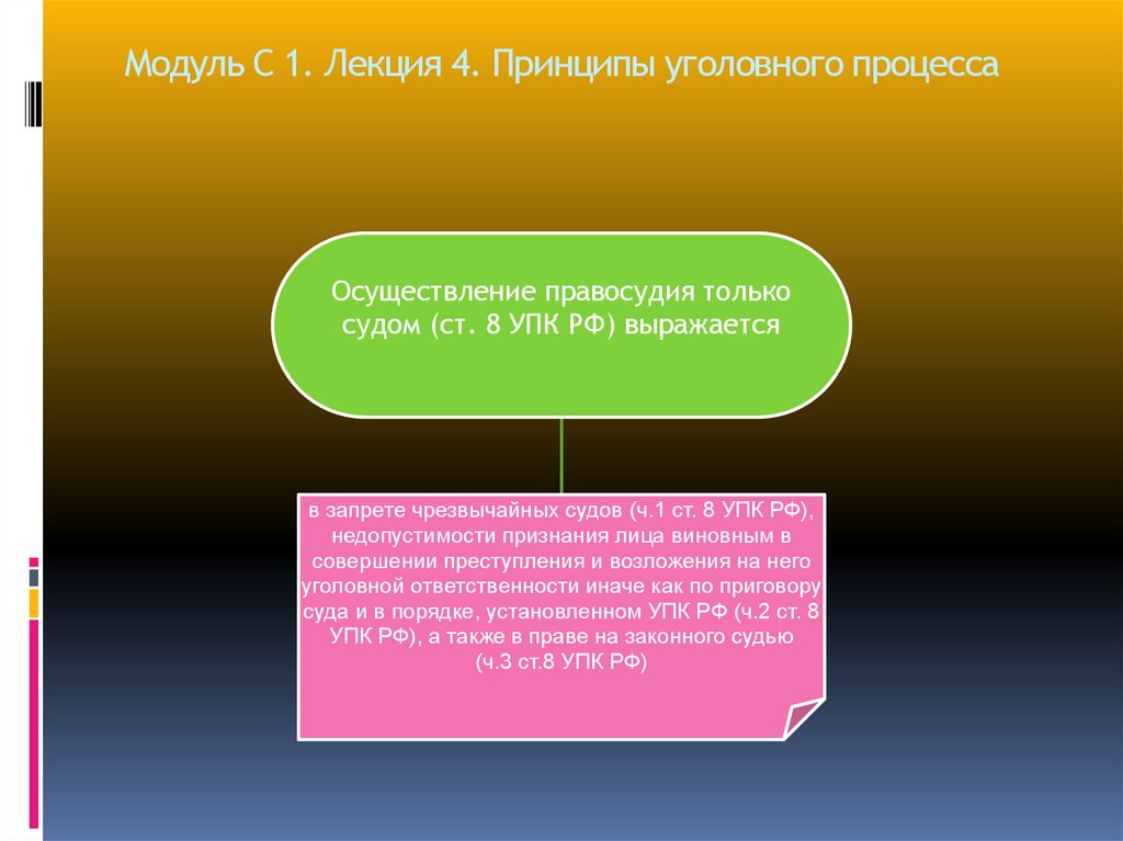 Модуль С 1. Лекция 4. Принципы уголовного процесса