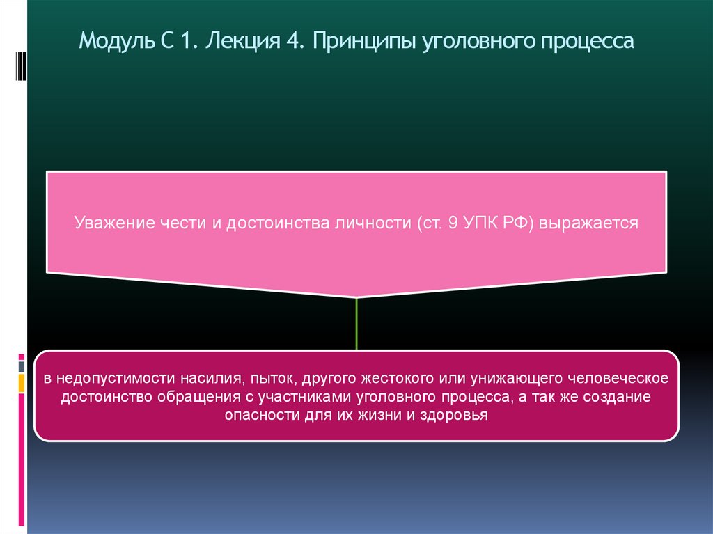 Модуль С 1. Лекция 4. Принципы уголовного процесса