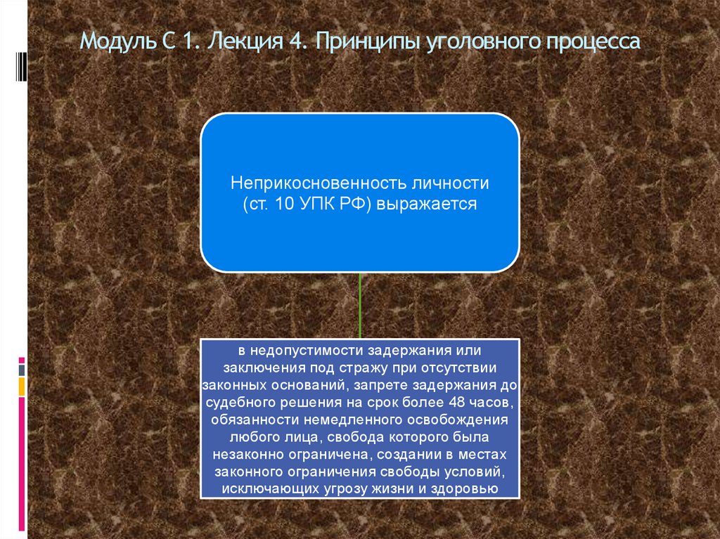 Модуль С 1. Лекция 4. Принципы уголовного процесса
