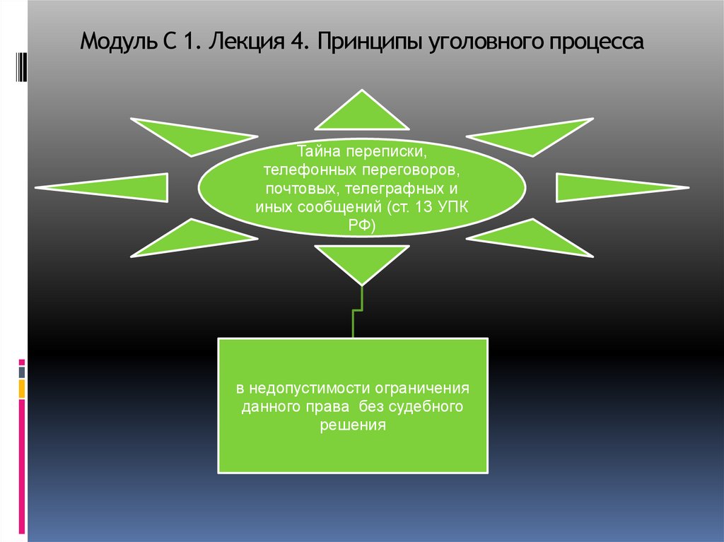 Модуль С 1. Лекция 4. Принципы уголовного процесса