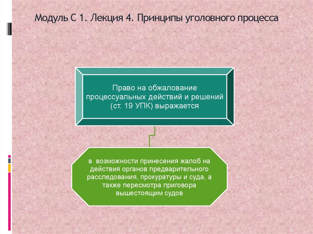 Модуль С 1. Лекция 4. Принципы уголовного процесса