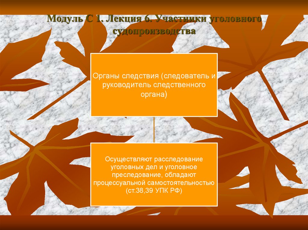 Модуль С 1. Лекция 6. Участники уголовного судопроизводства