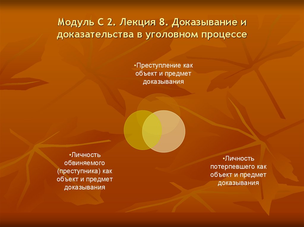 Модуль С 2. Лекция 8. Доказывание и доказательства в уголовном процессе