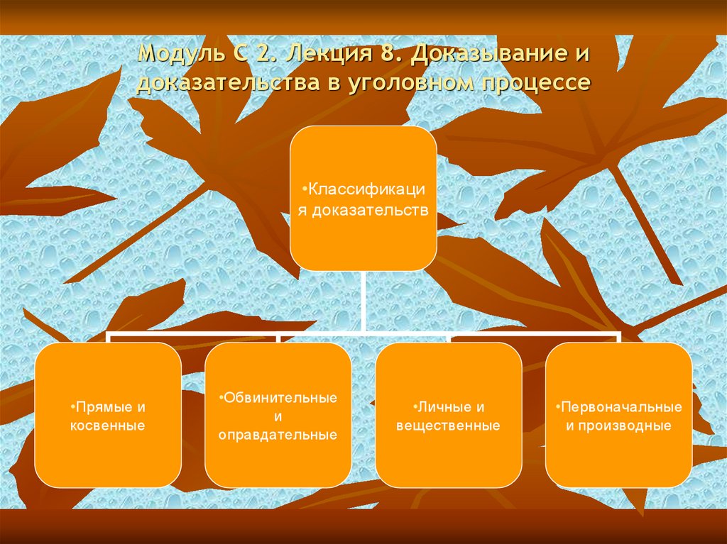 Модуль С 2. Лекция 8. Доказывание и доказательства в уголовном процессе