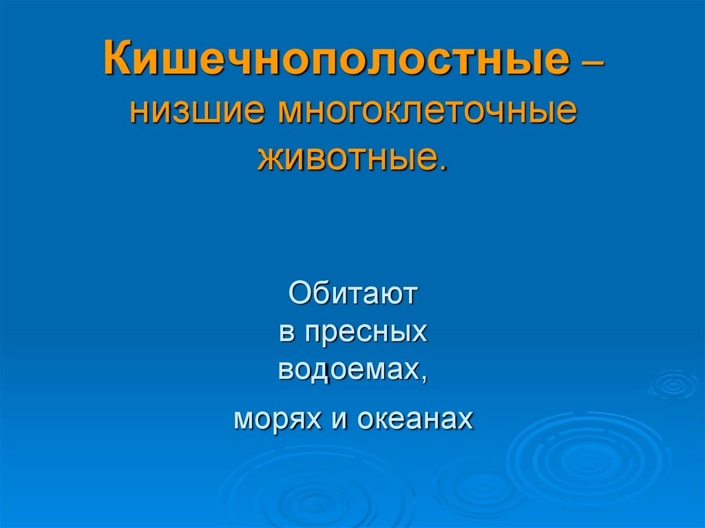 Кишечнополостные – низшие многоклеточные животные. Обитают в пресных водоемах, морях и океанах