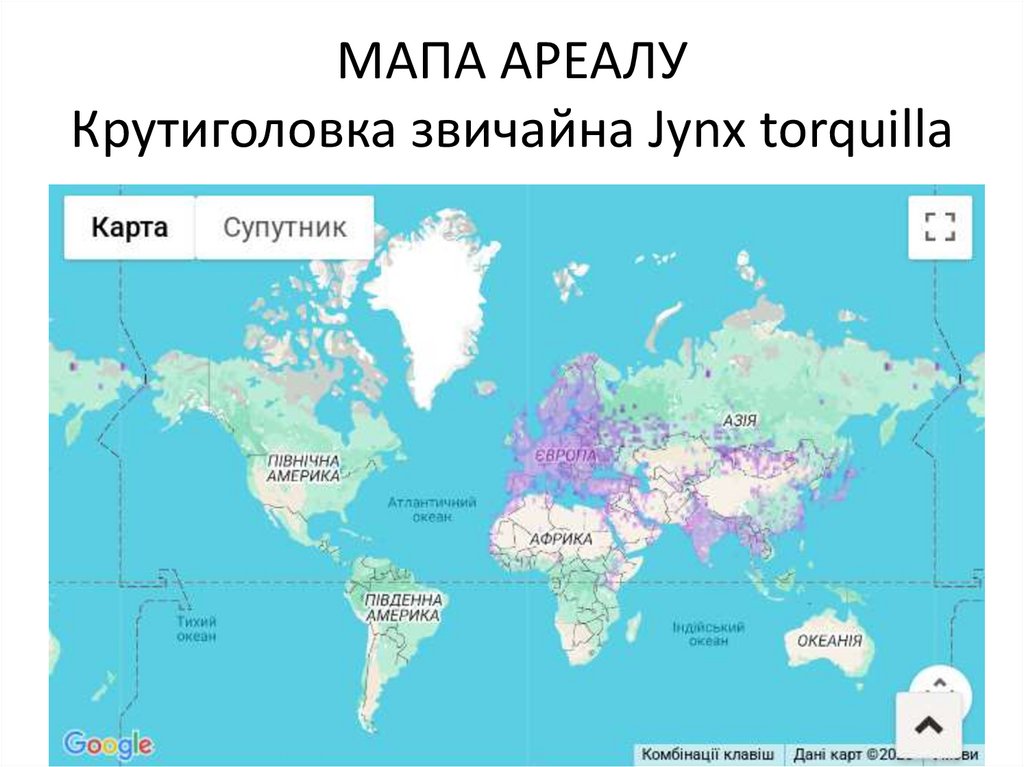 МАПА АРЕАЛУ Крутиголовка звичайна Jynx torquilla