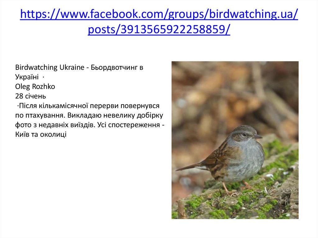 https://www.facebook.com/groups/birdwatching.ua/posts/3913565922258859/
