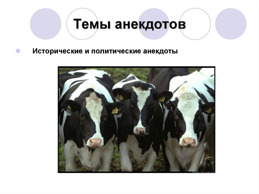 Темы анекдотов