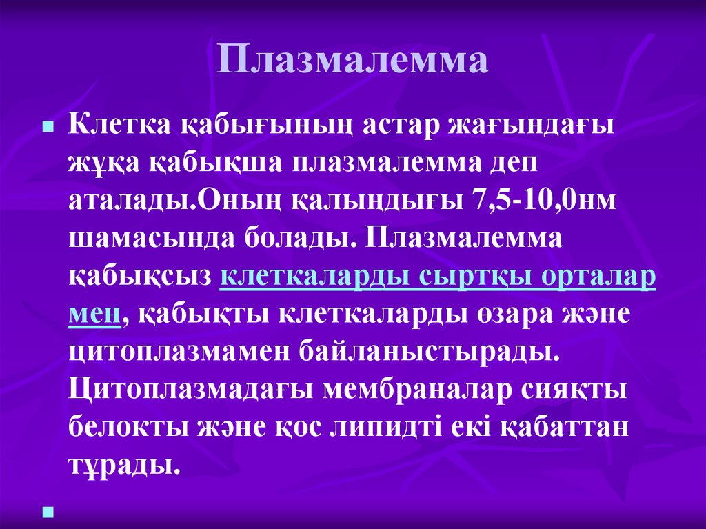 Плазмалемма