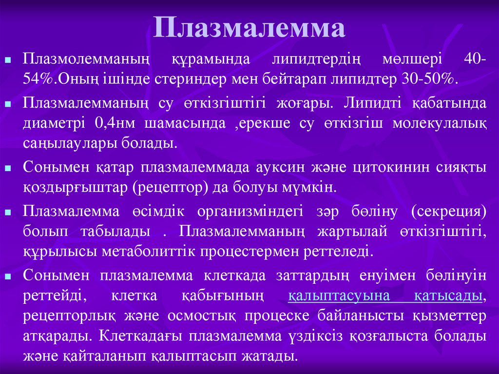 Плазмалемма