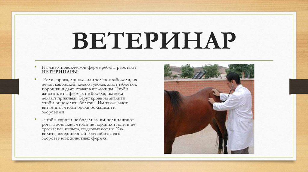 ВЕТЕРИНАР