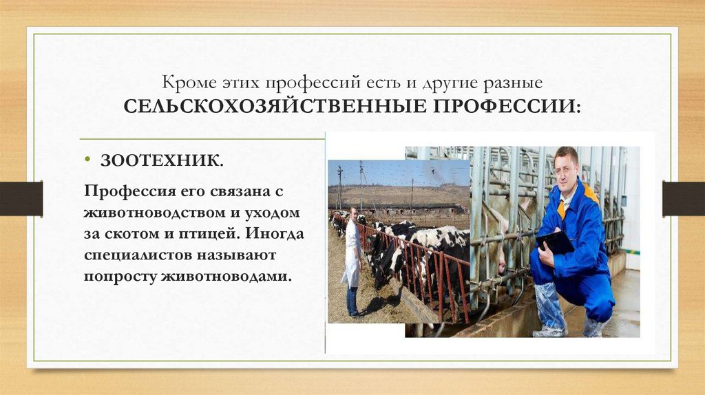 Кроме этих профессий есть и другие разные СЕЛЬСКОХОЗЯЙСТВЕННЫЕ ПРОФЕССИИ: