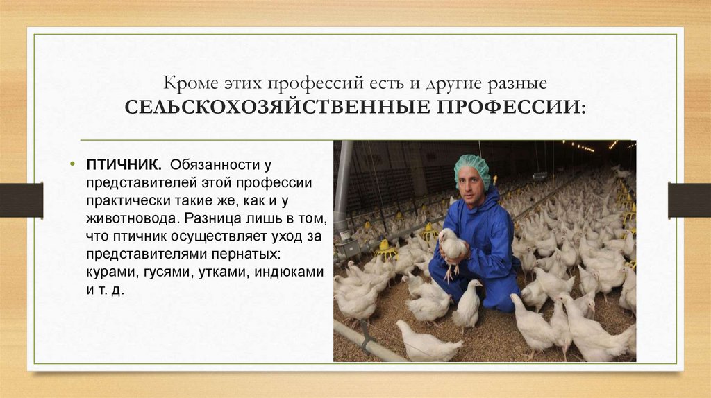 Кроме этих профессий есть и другие разные СЕЛЬСКОХОЗЯЙСТВЕННЫЕ ПРОФЕССИИ: