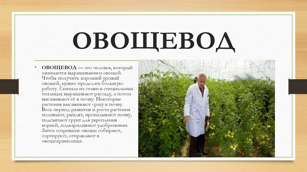 ОВОЩЕВОД