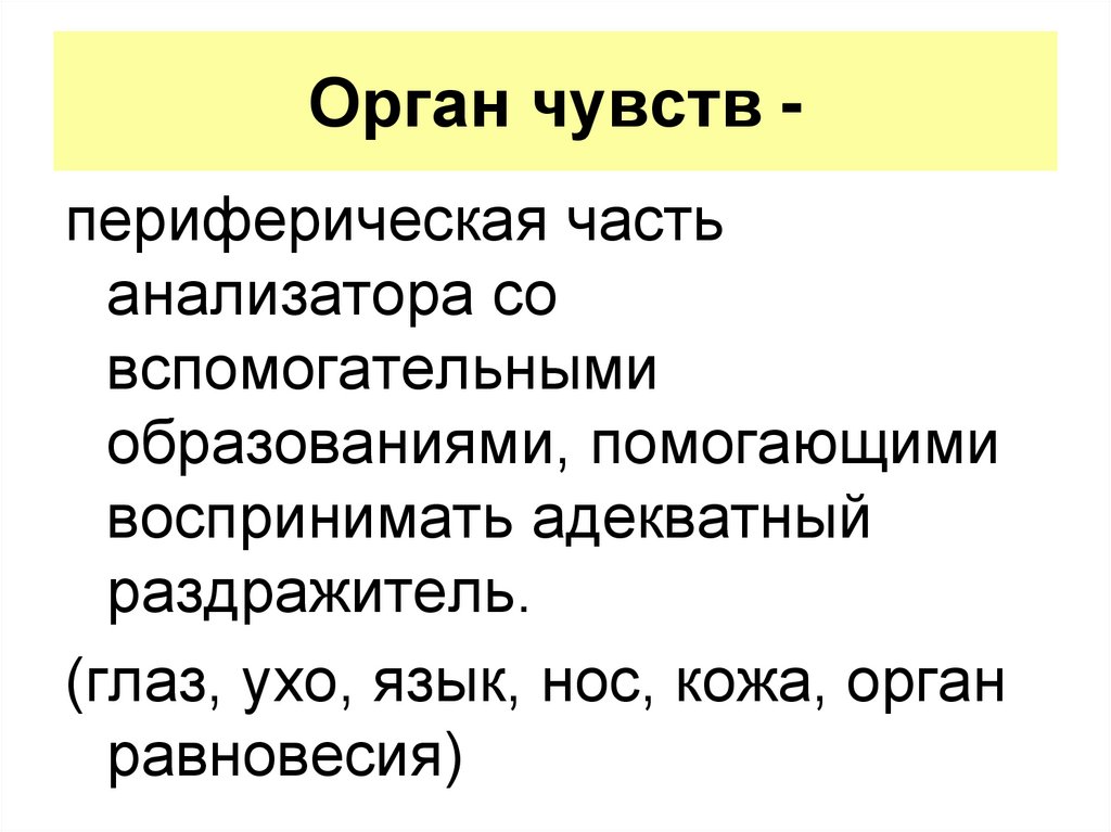 Орган чувств -