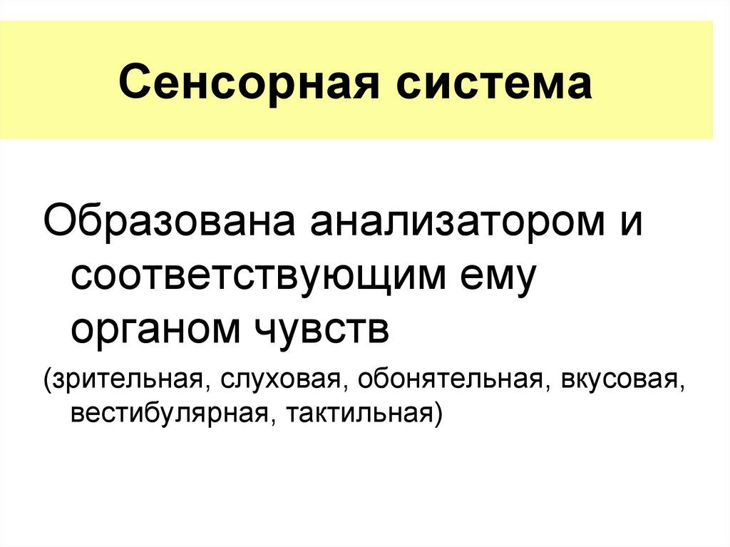 Сенсорная система