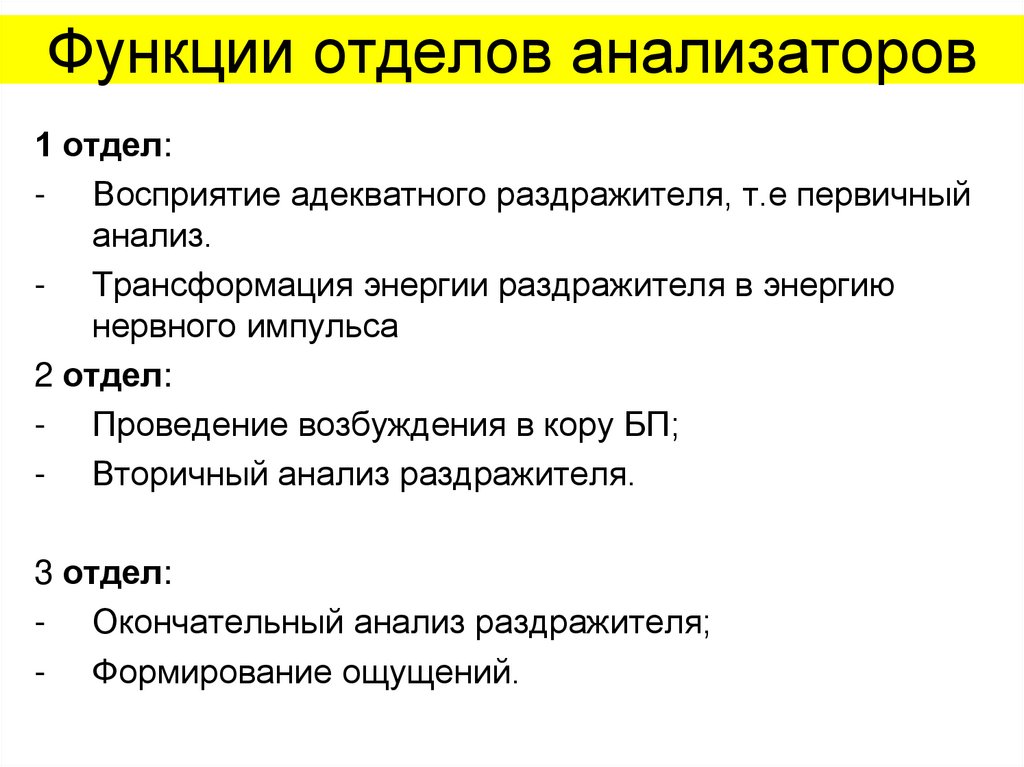 Функции отделов анализаторов