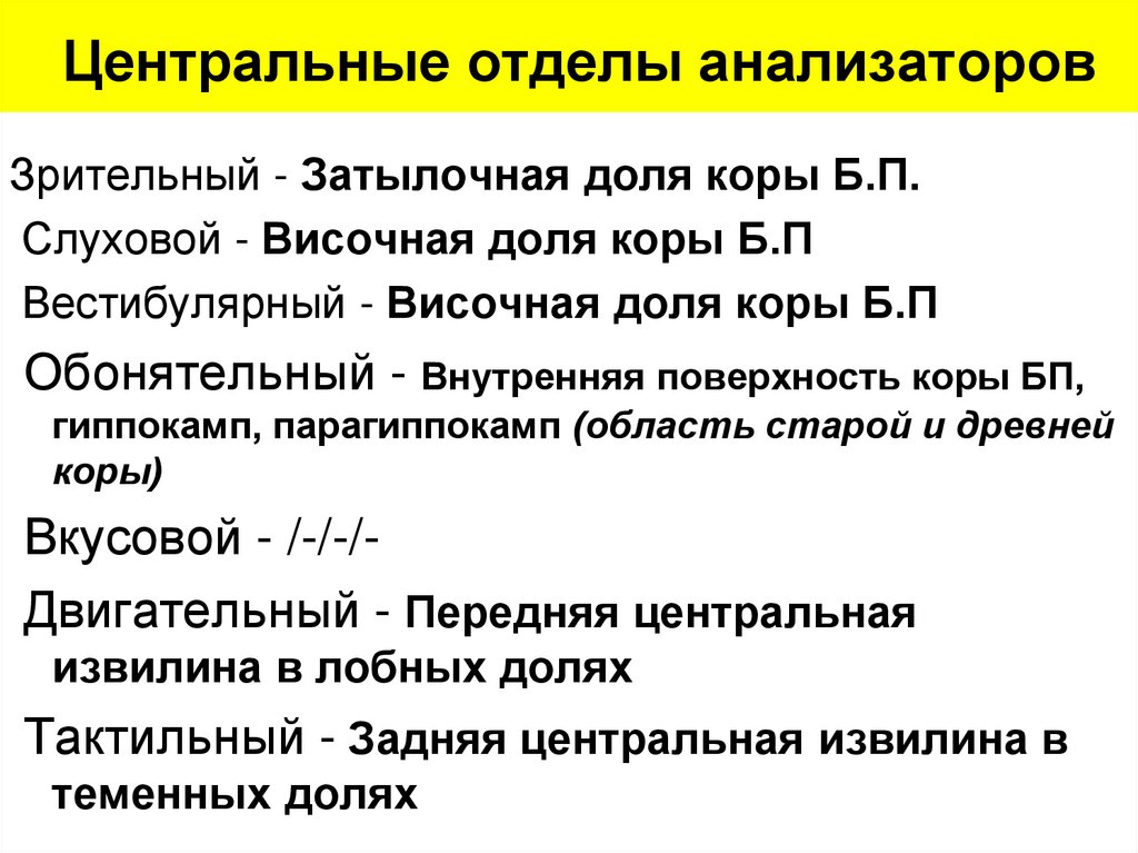 Центральные отделы анализаторов