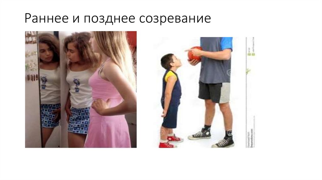 Раннее и позднее созревание