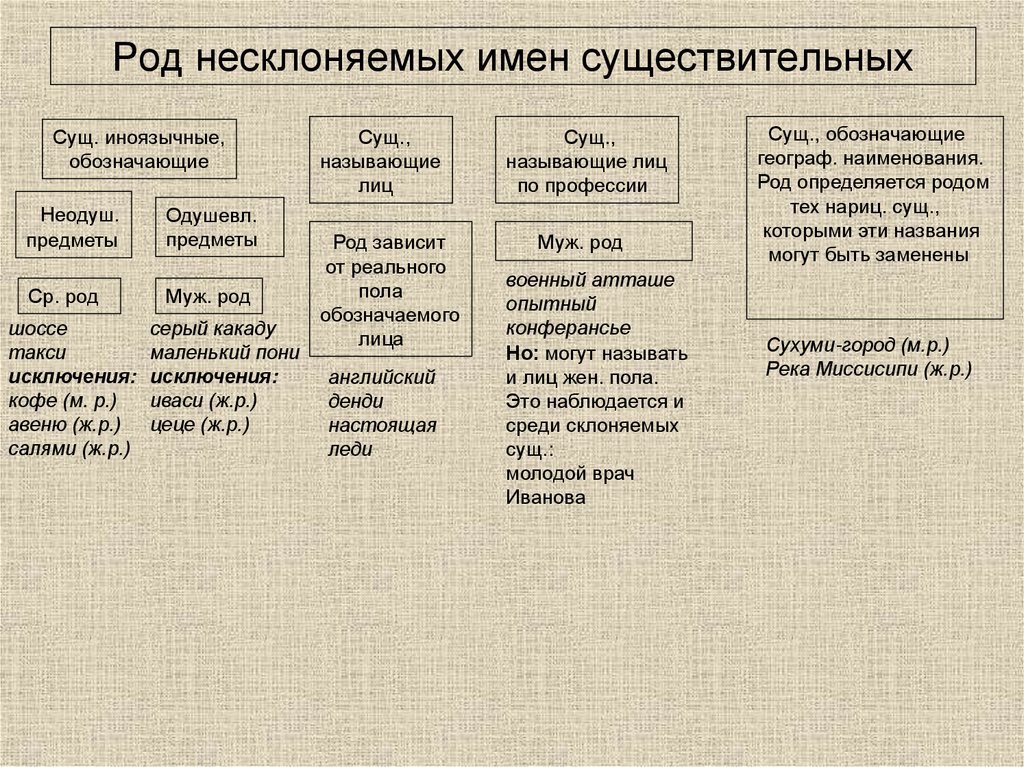 Род несклоняемых имен существительных