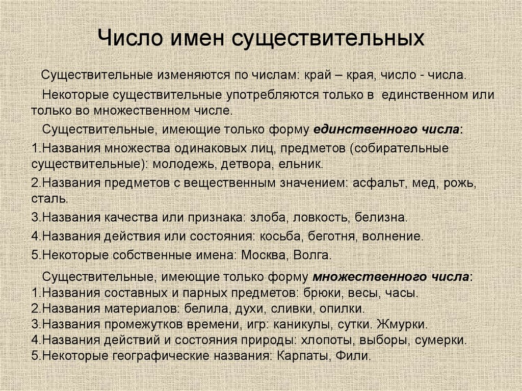 Число имен существительных