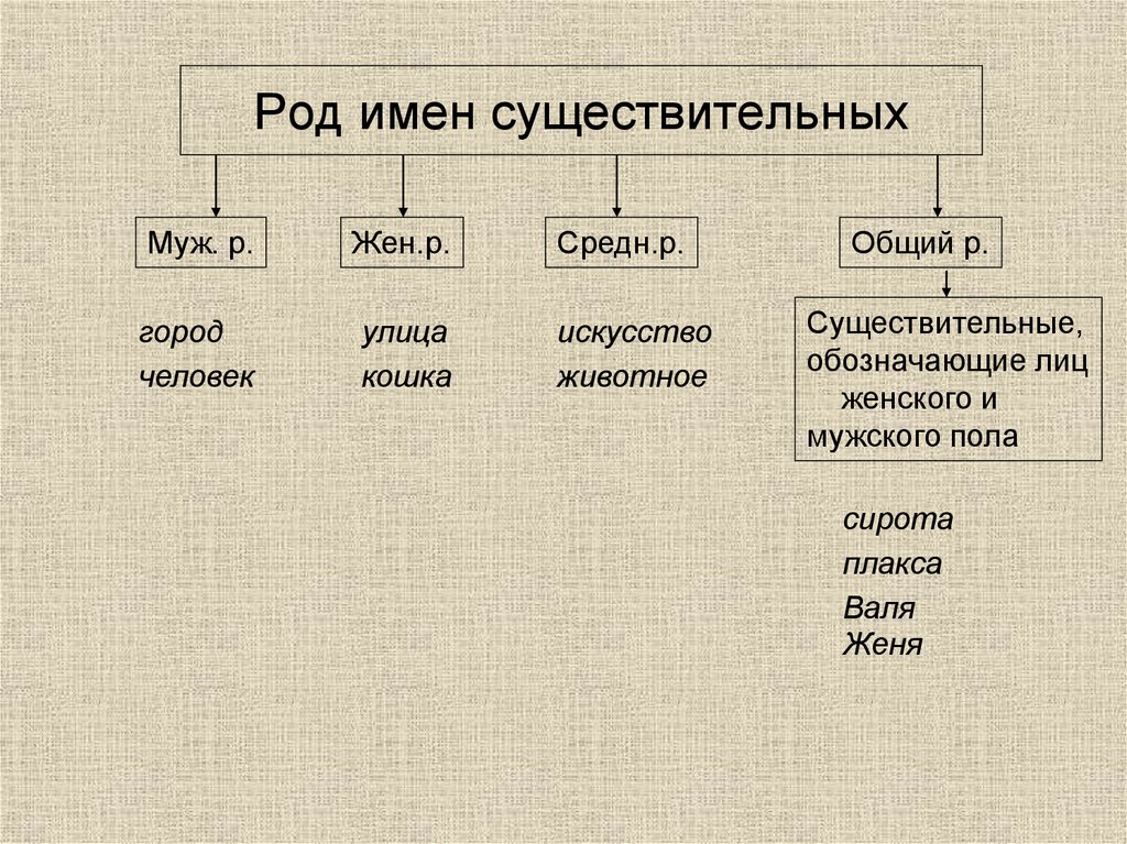 Род имен существительных