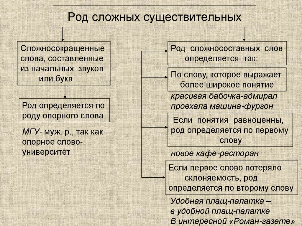 Род сложных существительных