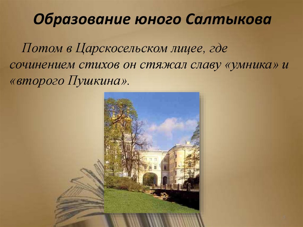 Образование юного Салтыкова