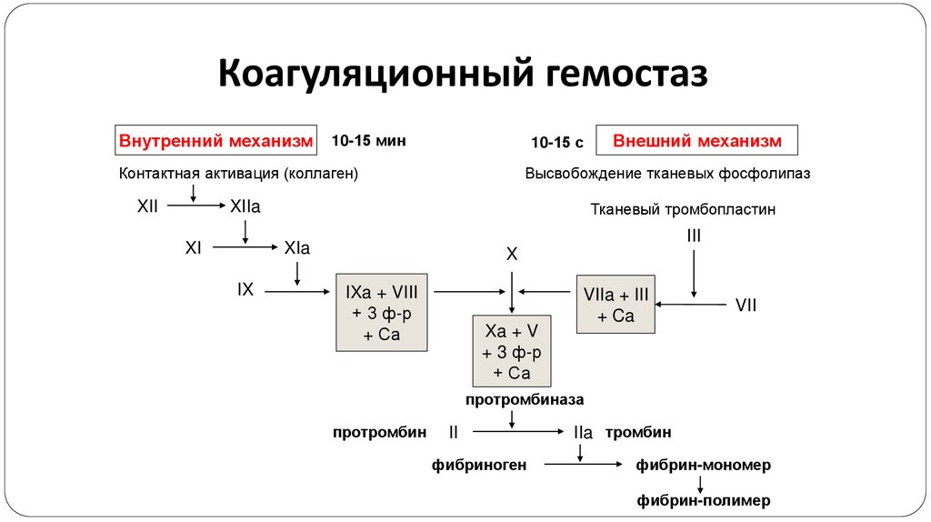 Коагуляционный гемостаз