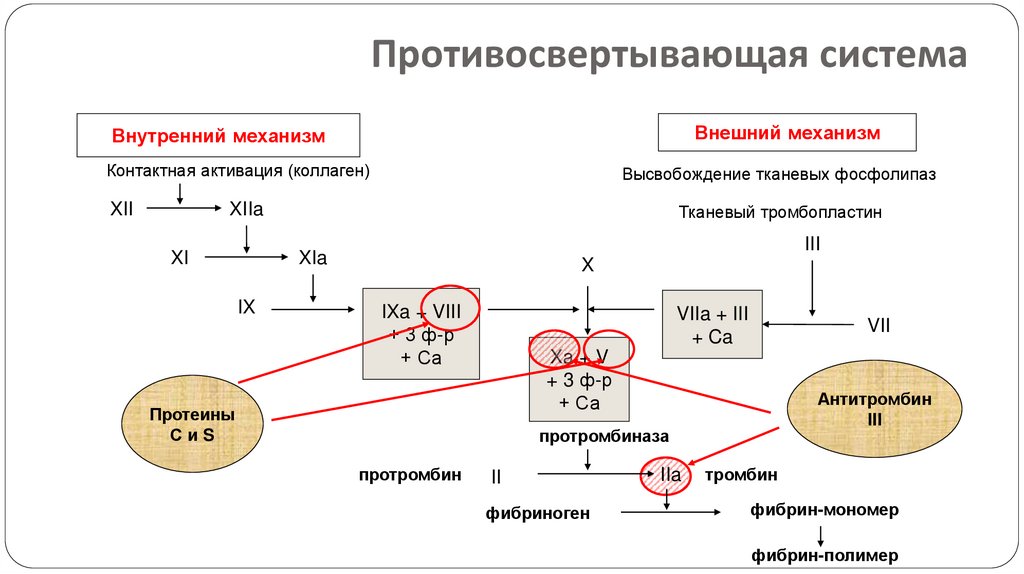 Противосвертывающая система