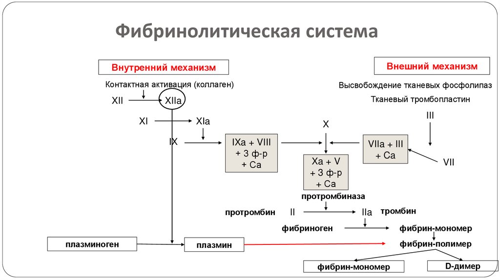 Противосвертывающая система