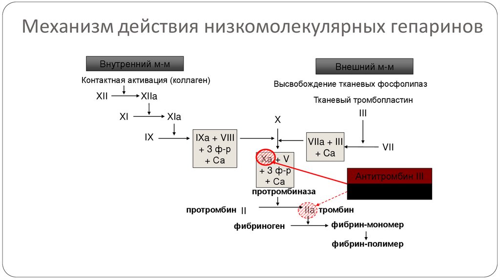 Низкомолекулярные гепарины