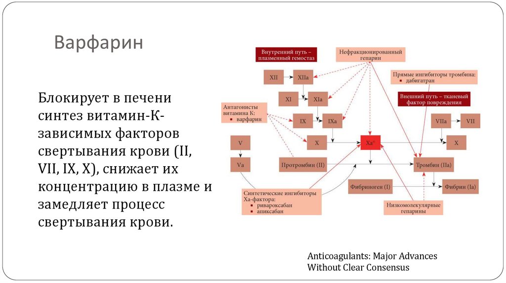Противопоказания для назначения антикоагулянтов прямого действия