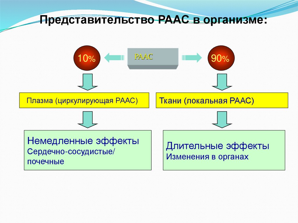 Физиологические эффекты ангиотезина-II не сводятся только к вазоконстрикции и задержке натрия и воды. При высокой активности