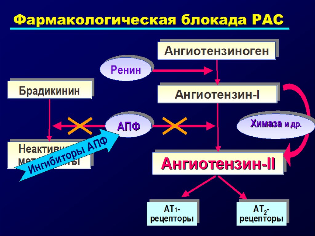 Клиническая реализация активации РААС-А-II