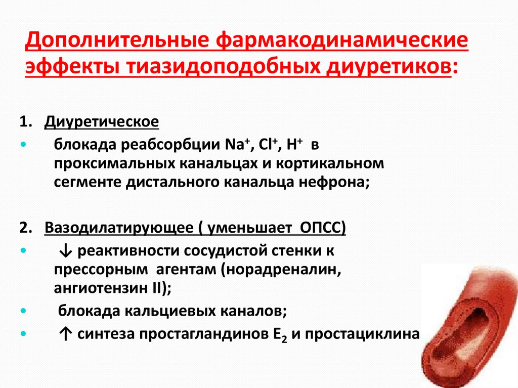 Двойной механизм действия тиазидных диуретиков: быстрый и отсроченный Гидрохлортиазид и хлорталидон при артериальной гипертонии