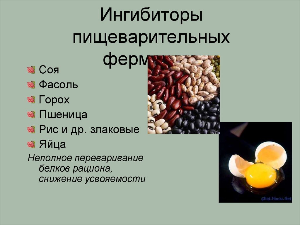 Ингибиторы пищеварительных ферментов