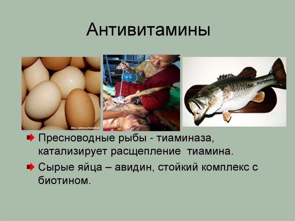 Антивитамины